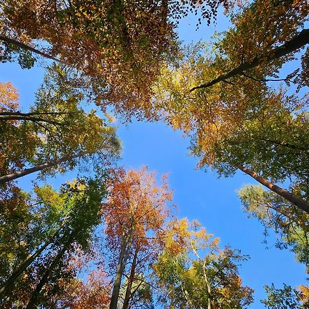 Fewo Am Wald 보에크 외부 사진