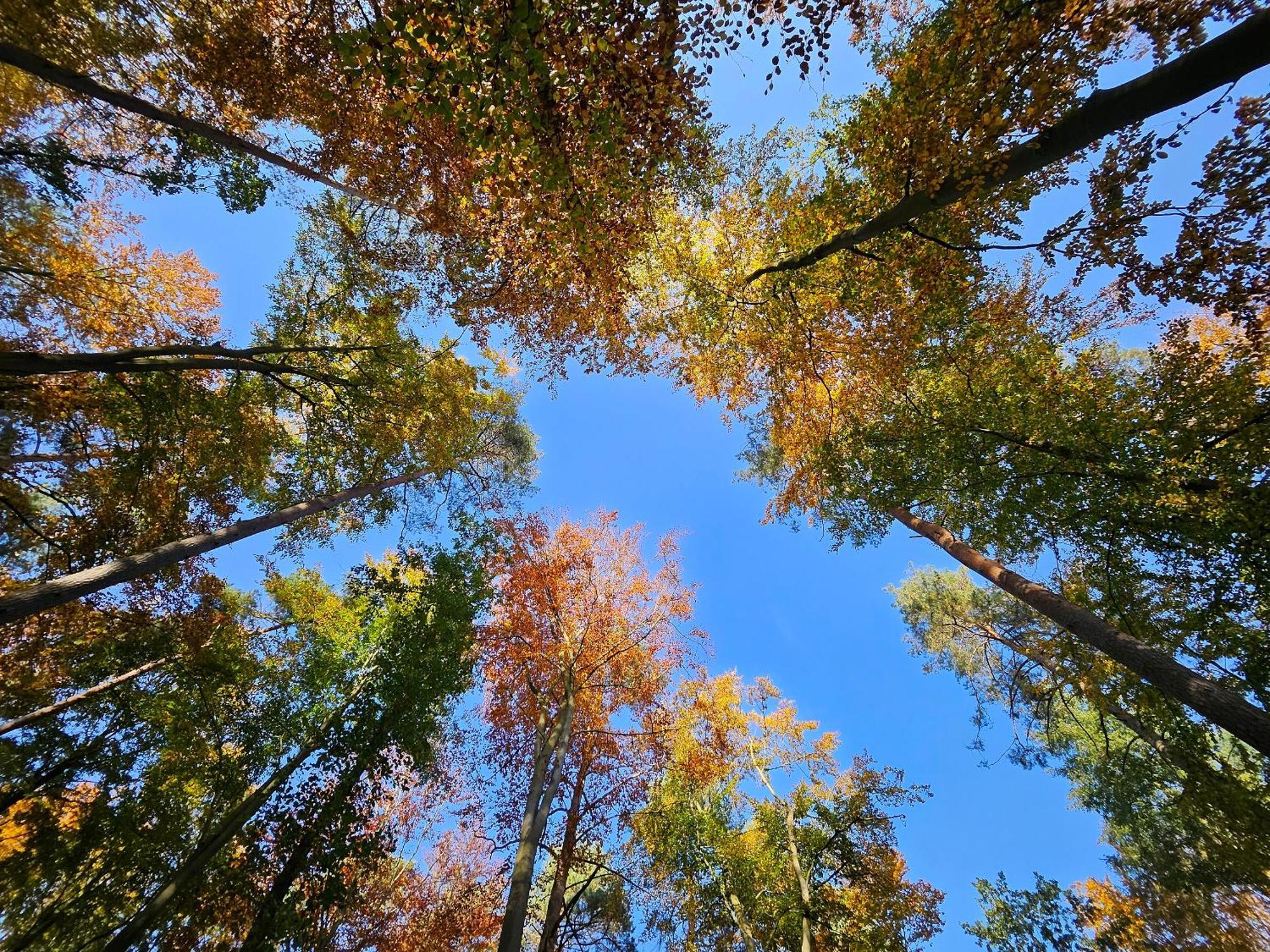 Fewo Am Wald 보에크 외부 사진